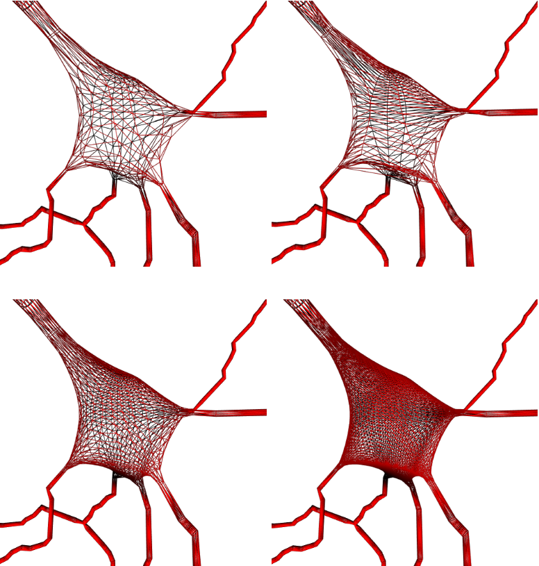 Adaptive Soma Tessellation